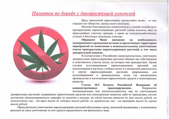 Как бороться с дикорастущий коноплей марихуана найти в украине